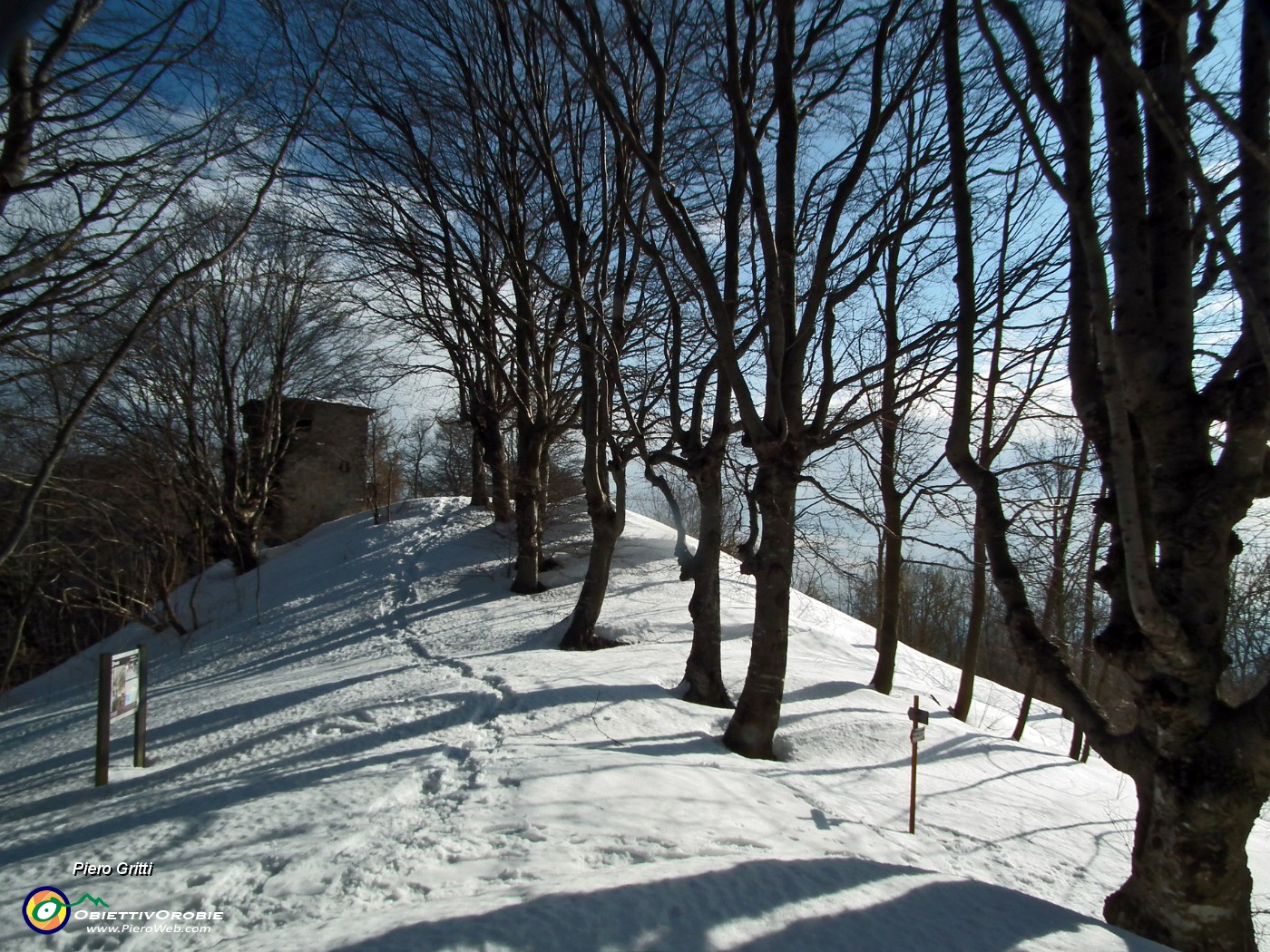 43 Viale montano di faggi.JPG